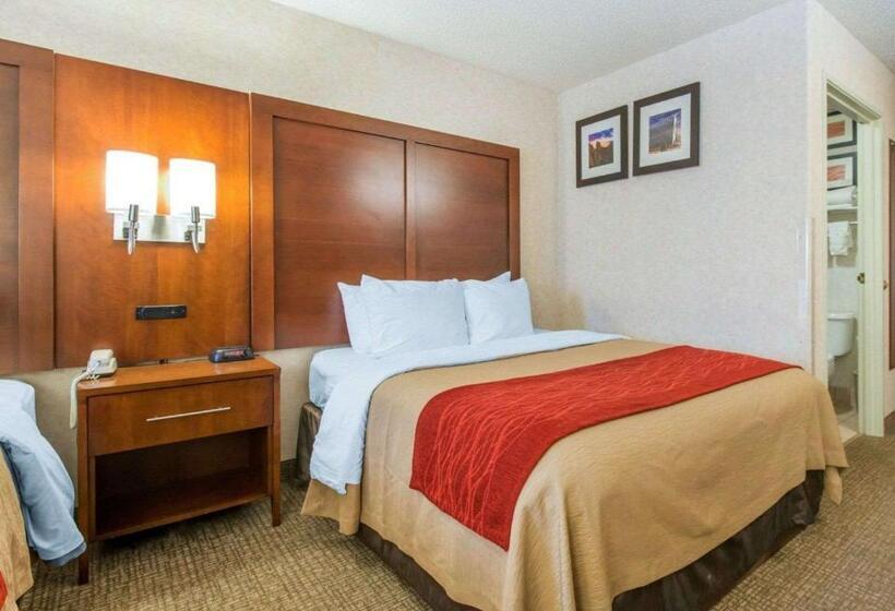 标准间, Comfort Inn North  Air Force Academy Area