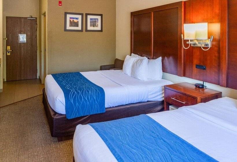 标准间, Comfort Inn North  Air Force Academy Area