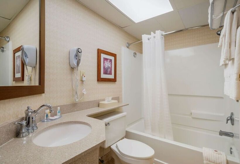 スタンダードルーム, Comfort Inn Ocean City Boardwalk