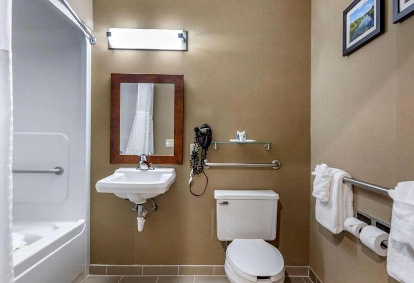 Номер Стандарт Адаптированный для Инвалидов, Comfort Inn & Suites Montpelierberlin
