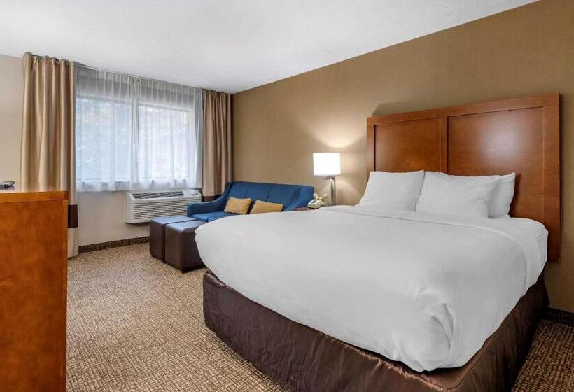 Номер Стандарт, Comfort Inn & Suites Montpelierberlin