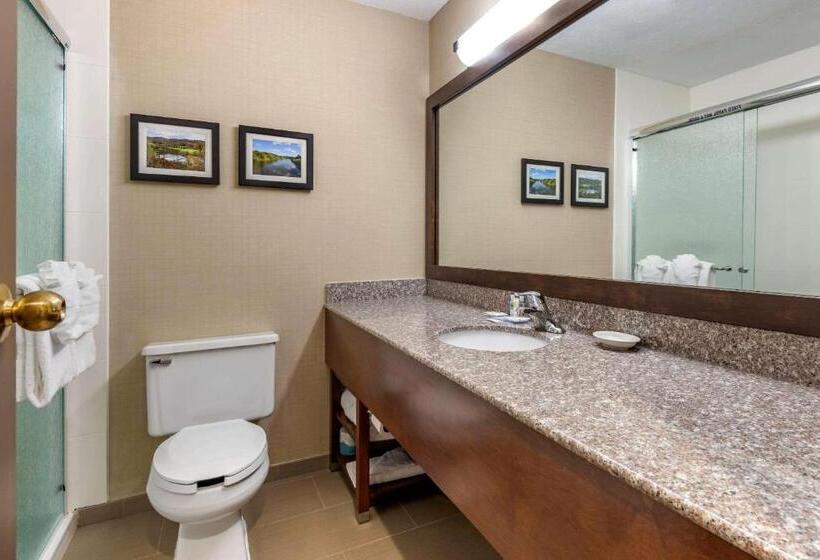 Люкс Кровать Кинг, Comfort Inn & Suites Montpelierberlin