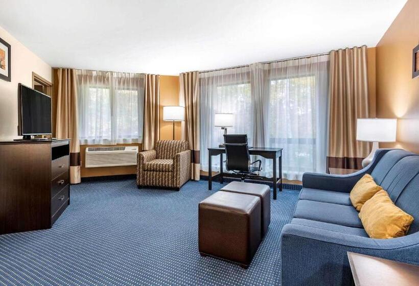 Люкс Кровать Кинг, Comfort Inn & Suites Montpelierberlin