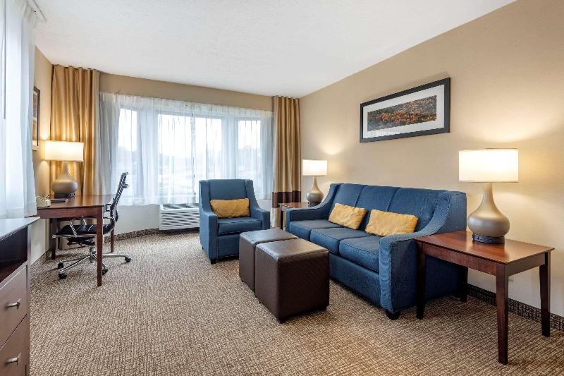 Люкс Кровать Кинг, Comfort Inn & Suites Montpelierberlin
