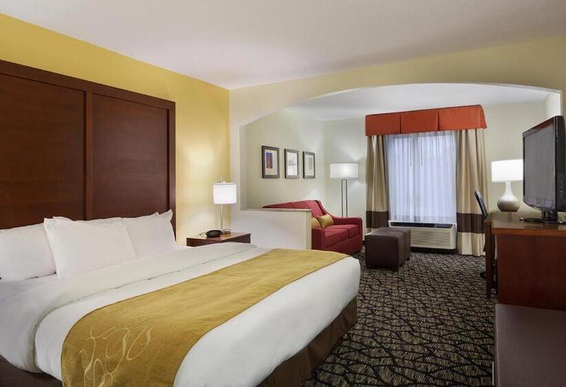 Люкс Адаптированный для Инвалидов, Comfort Suites Innsbrook  Short Pump