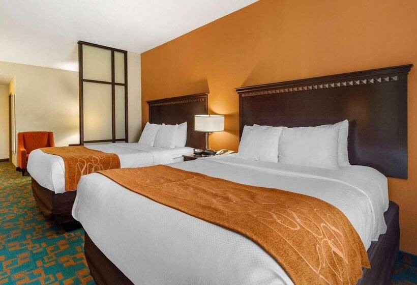 Suite, Comfort Suites Knoxville West  Farragut