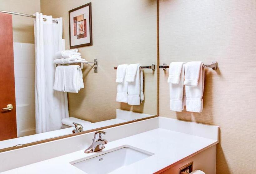 Люкс Адаптированный для Инвалидов, Comfort Suites Springfield Riverbend Medical