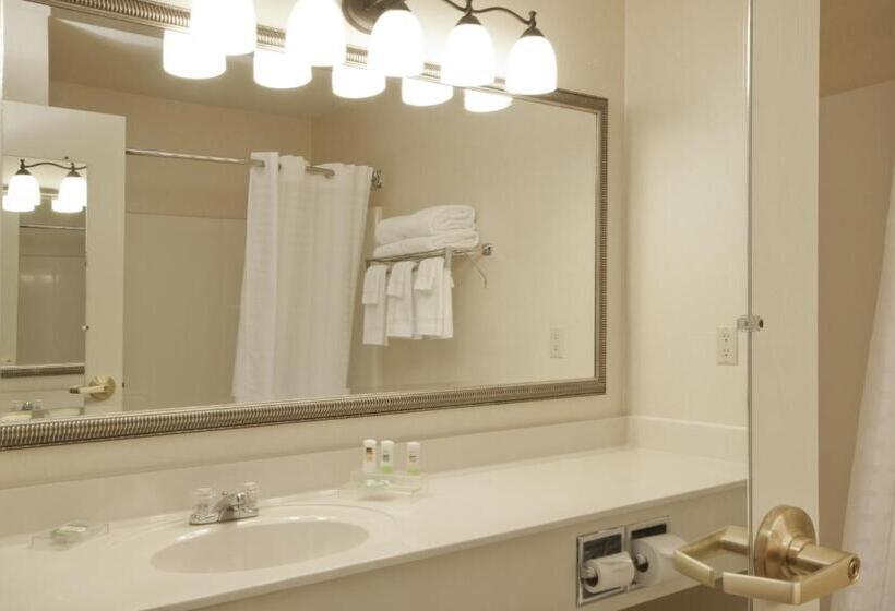 اتاق استاندارد برای معلولان, Country Inn & Suites By Radisson, Davenport, Ia