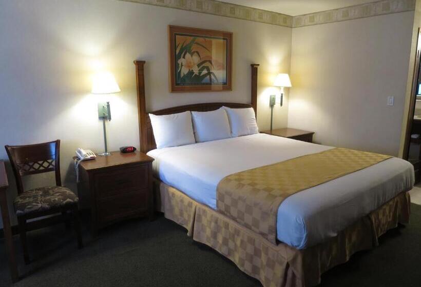 스탠다드 룸 킹사이즈 침대, Country Inn Ontario