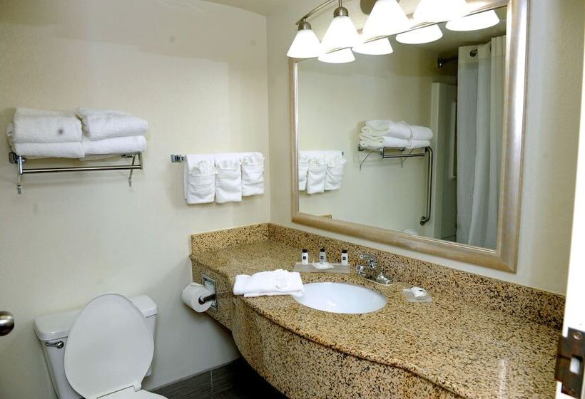 ハイドロマッサージバス付きスイート, Country Inn & Suites By Radisson, Alpharetta, Ga