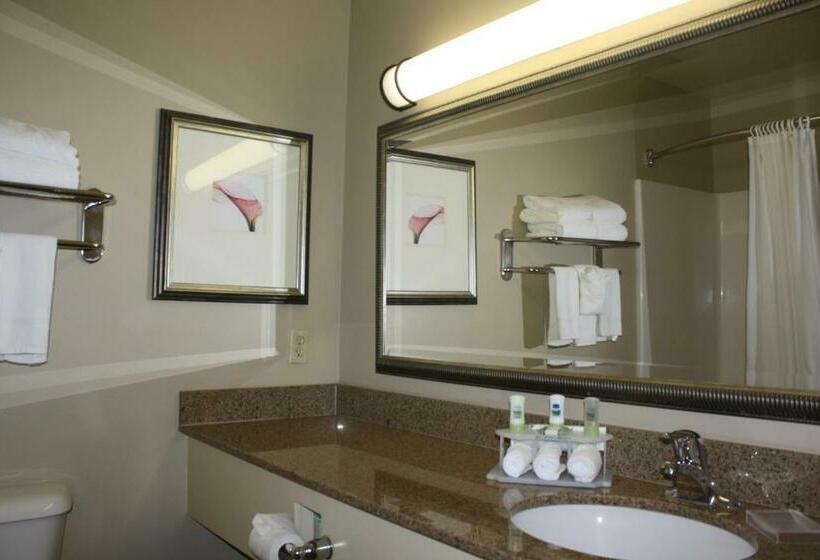 اتاق استاندارد با تخت بزرگ, Country Inn & Suites By Radisson, Asheville At Asheville Outlet Mall, Nc