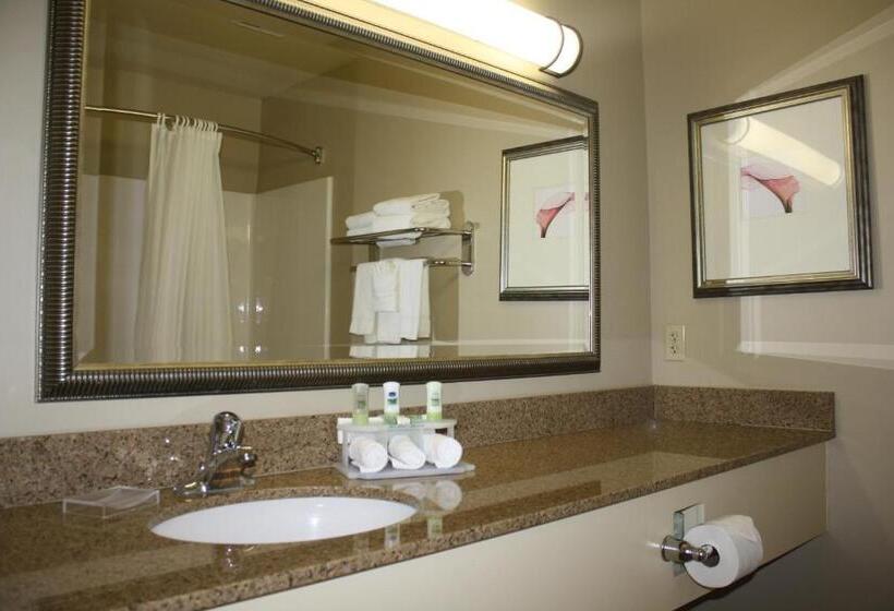 سوئیت با تخت بزرگ, Country Inn & Suites By Radisson, Asheville At Asheville Outlet Mall, Nc