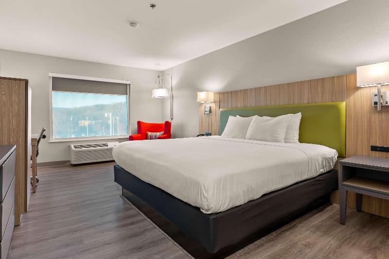 اتاق استاندارد با تخت بزرگ, Country Inn & Suites By Radisson, Asheville At Asheville Outlet Mall, Nc