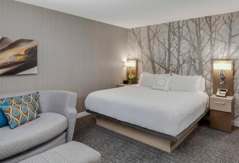 Номер Стандарт Кровать Кинг Адаптированный для Инвалидов, Courtyard By Marriott Portsmouth