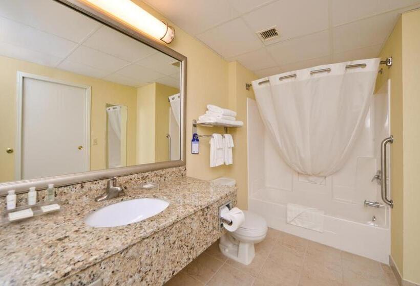 Люкс Адаптированный для Инвалидов, Duluth Inn & Suites Near Spirit Mountain