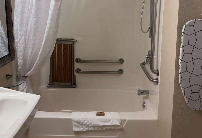 Люкс Адаптированный для Инвалидов, Duluth Inn & Suites Near Spirit Mountain