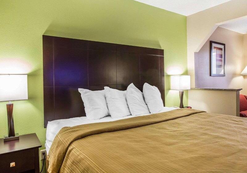 스탠다드 룸 킹사이즈 침대, Quality Inn & Suites Dublin