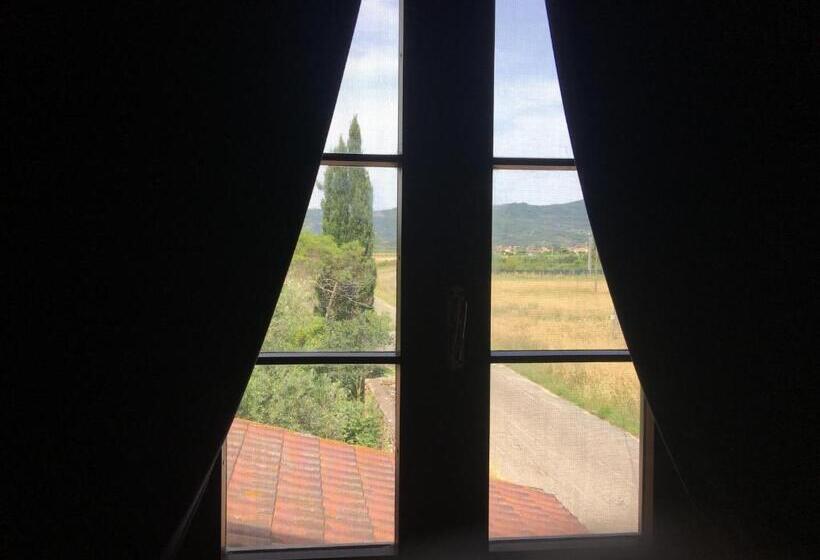 Номер Стандарт, B&b Bagnarello73