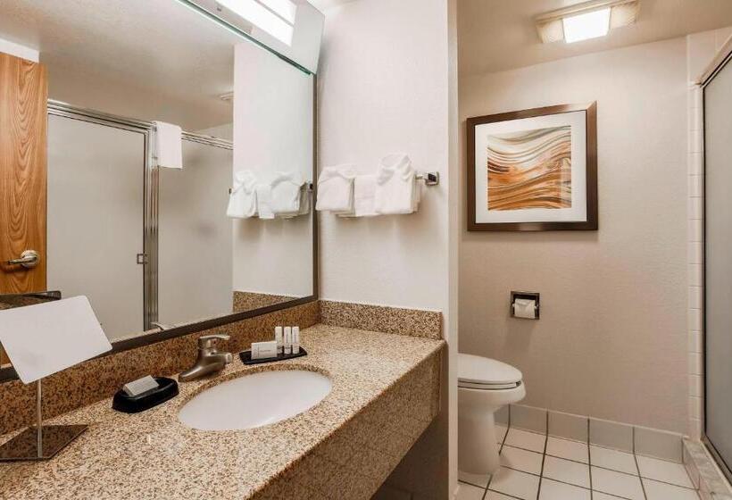 Номер Deluxe Кровать Кинг, Courtyard By Marriott Orlando Lake Mary North