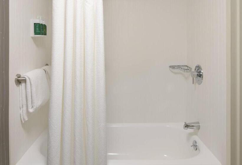 스탠다드 룸 킹사이즈 침대, Courtyard By Marriott Lynchburg