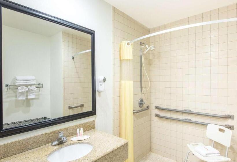 장애인을 위한 킹사이즈 침대 스탠다드 룸, Days Inn By Wyndham Tucson Airport
