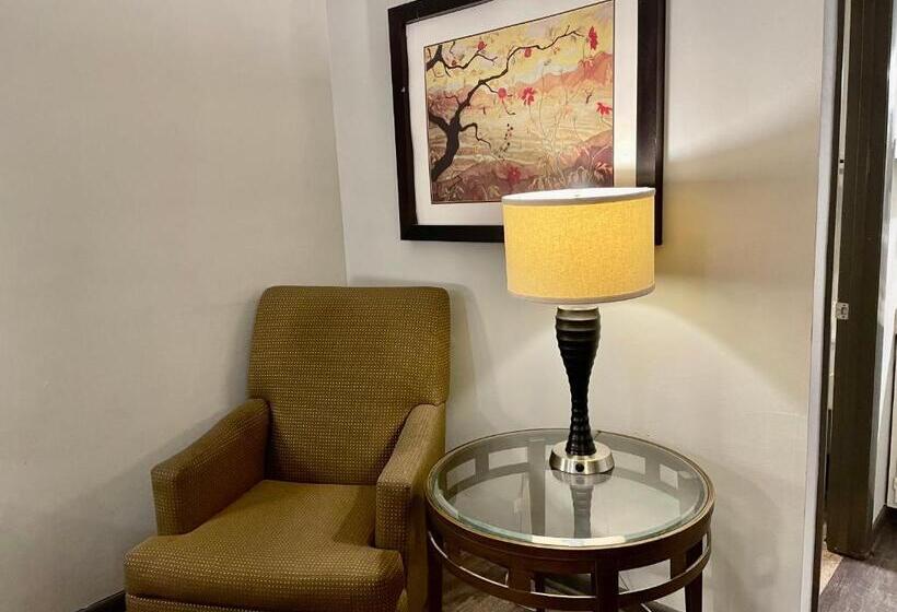 스탠다드 룸 킹사이즈 침대, Alpine Village Inn