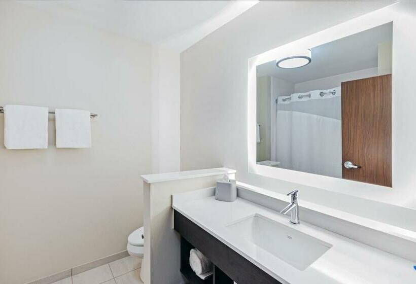 Номер Стандарт Адаптированный для Инвалидов, Holiday Inn Express & Suites Purcell, An Ihg