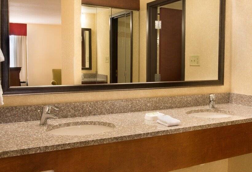اتاق لوکس, Drury Inn & Suites Charlotte University Place