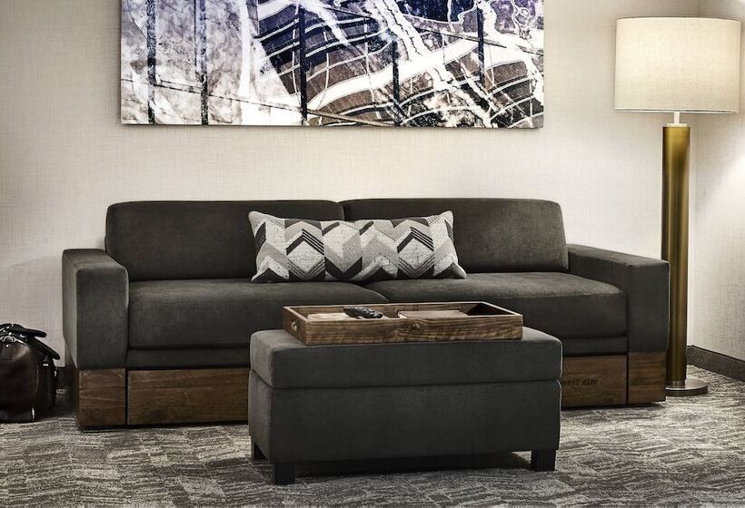 Люкс, Springhill Suites Denver Parker