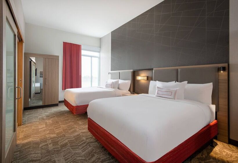 Люкс, Springhill Suites Denver Parker