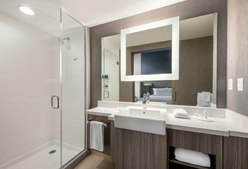 Люкс, Springhill Suites Denver Parker