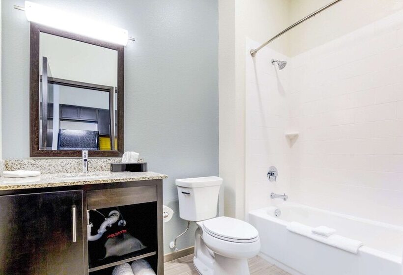 스위트, Mainstay Suites Winfieldteays Valley