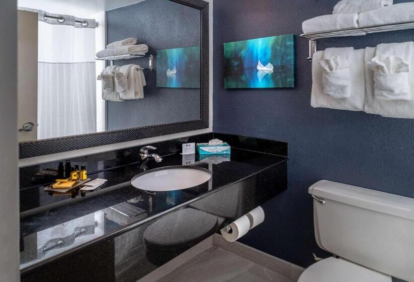 스탠다드 룸 킹사이즈 침대, Best Western Plus Beckley Inn