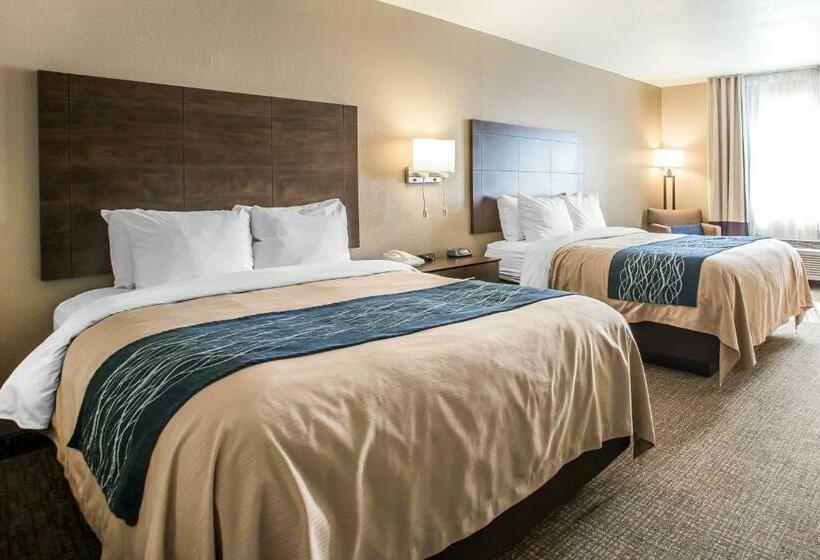 Номер Стандарт, Comfort Inn & Suites Waterloo  Cedar Falls