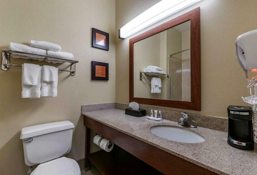 Люкс Кровать Кинг, Comfort Inn & Suites Waterloo  Cedar Falls