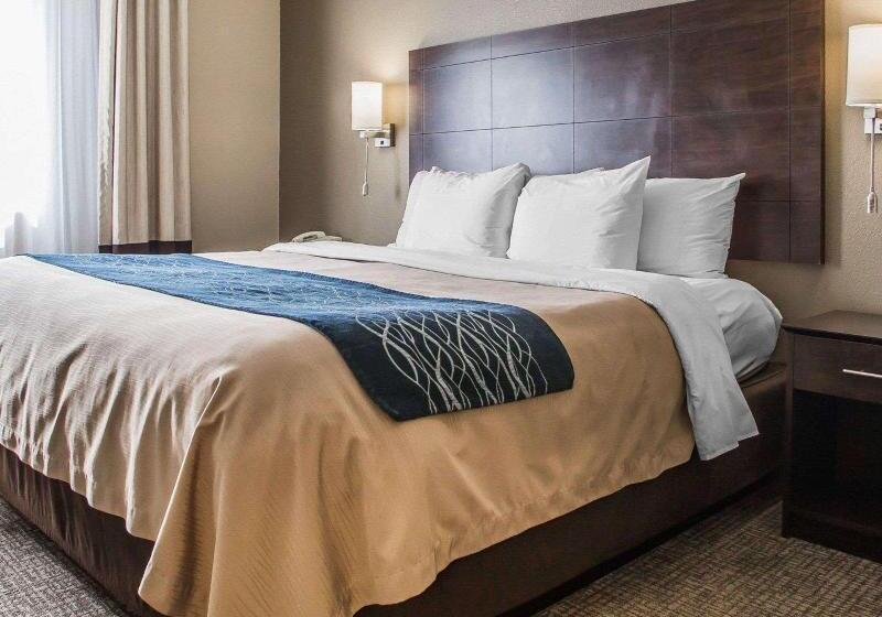 Люкс Кровать Кинг, Comfort Inn & Suites Waterloo  Cedar Falls