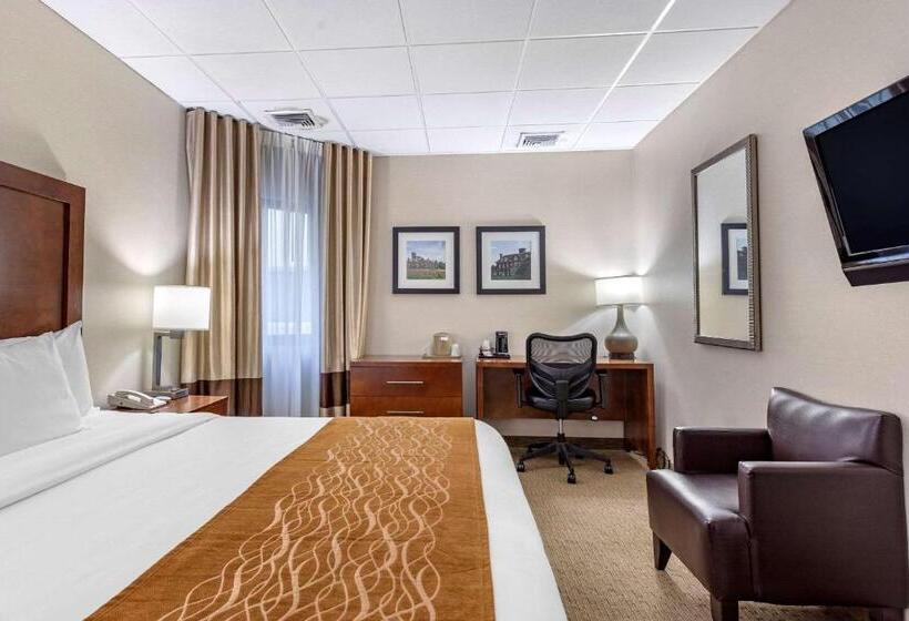 适合残疾人士使用的带超级大床的标准间, Comfort Inn Syossetlong Island