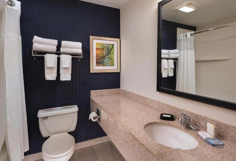 Стандартный Номер Кровать Кинг, Fairfield Inn Saint Louis Collinsville
