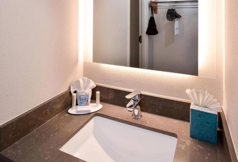 스탠다드 룸 더블 침대 2개, Fairfield Inn Arlington Near Six Flags
