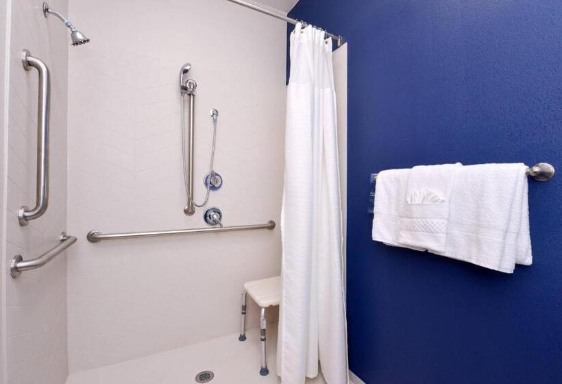 스탠다드 룸 킹사이즈 침대, Fairfield Inn Arlington Near Six Flags