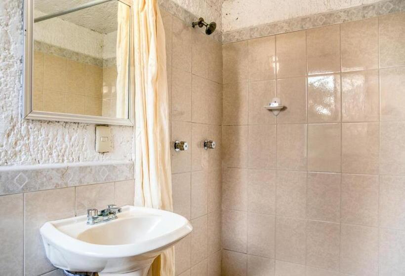 חדר סטנדרט, Capital O Farallon Inn, Cancún