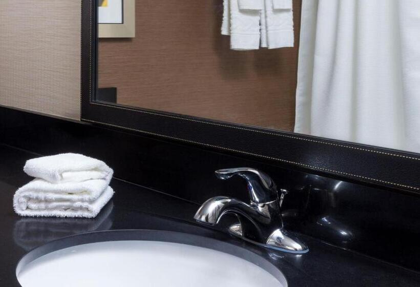 اتاق استاندارد با تخت بزرگ, Fairfield Inn & Suites By Marriott Galesburg