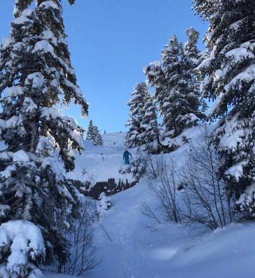 اتاق لوکس, Hôtel Lapiaz & Spa   Flaine
