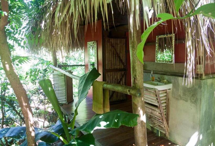 تختخواب در اتاق مشترک, Hostel Clandestino Maderas