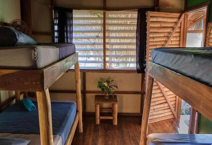 تختخواب در اتاق مشترک, Hostel Clandestino Maderas