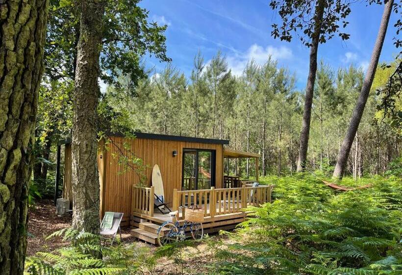 Люкс Повышенной Комфортности, Green Resort