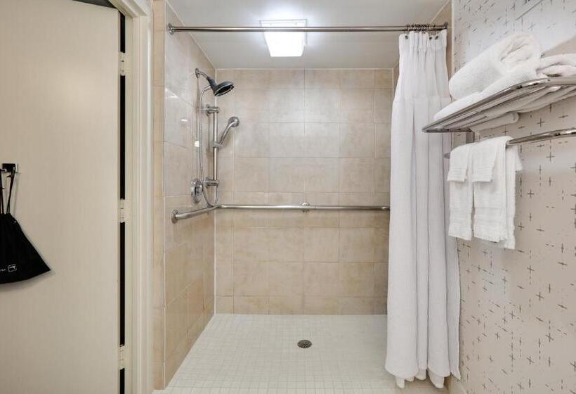 Premium Szoba, Crowne Plaza Hotel Dallas Downtown, An Ihg
