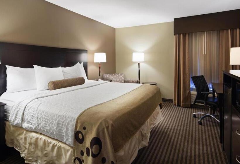 Номер Стандарт Кровать Кинг Адаптированный для Инвалидов, Best Western Plus Mishawaka Inn