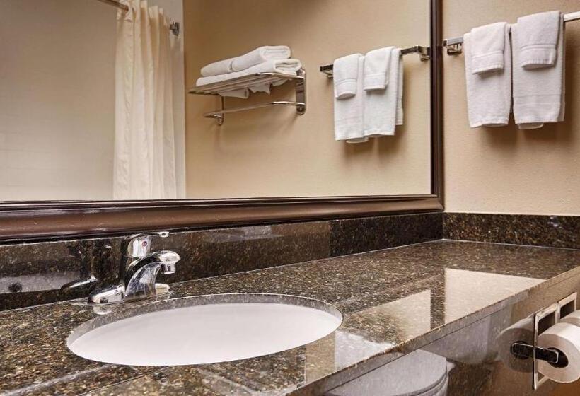 Номер Стандарт Адаптированный для Инвалидов, Best Western Plus Mishawaka Inn
