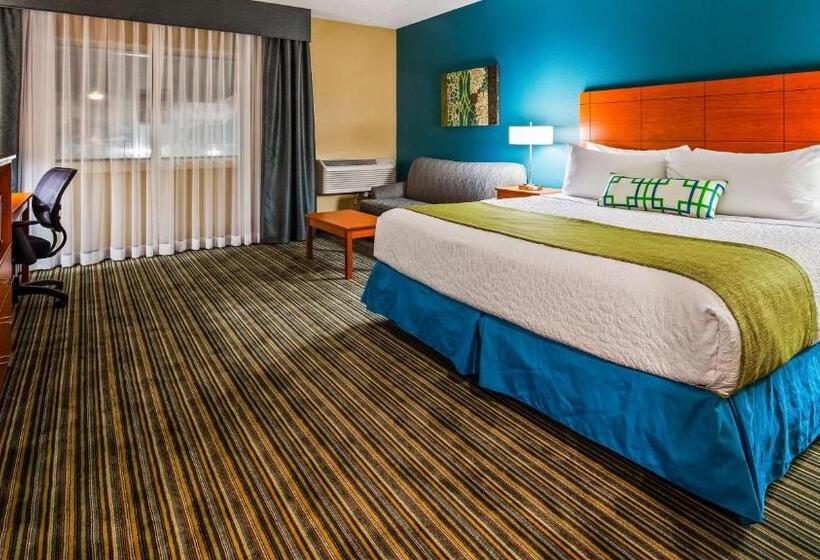 장애인을 위한 킹사이즈 침대 스탠다드 룸, Best Western Warren